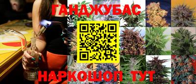наркотики Кингисепп